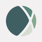 Noxtua AI